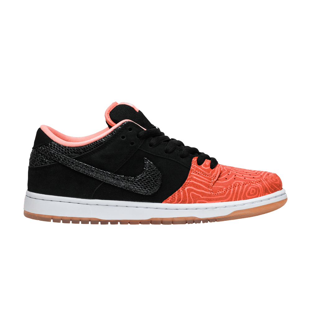 Nike SB Dunk Low x Premier Fish Ladder (2015)